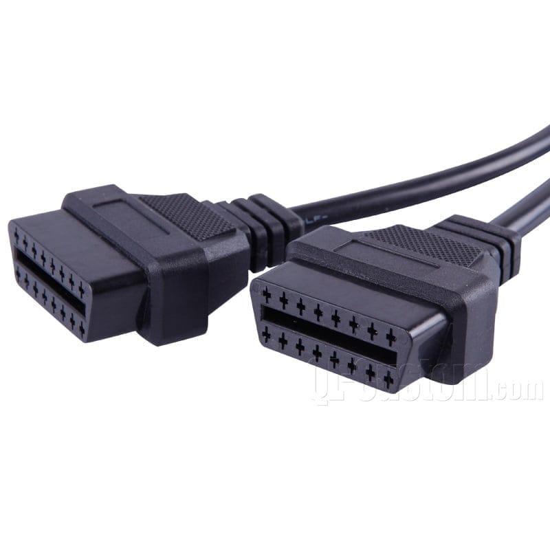 صورة معرض المنتجات