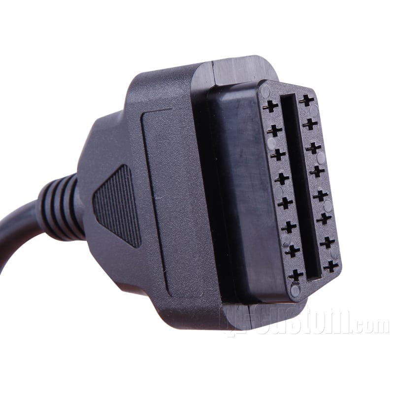 صورة معرض المنتجات