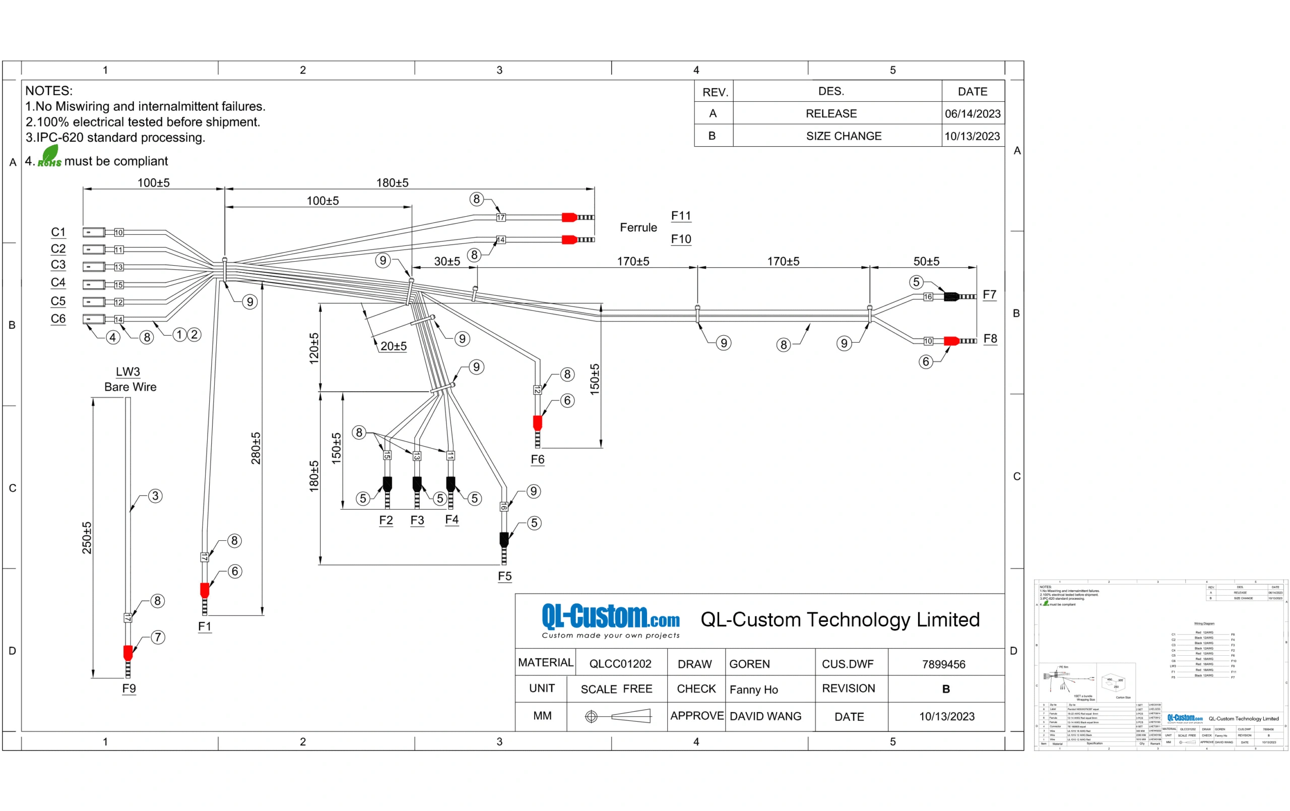 Custom Wiring Harness