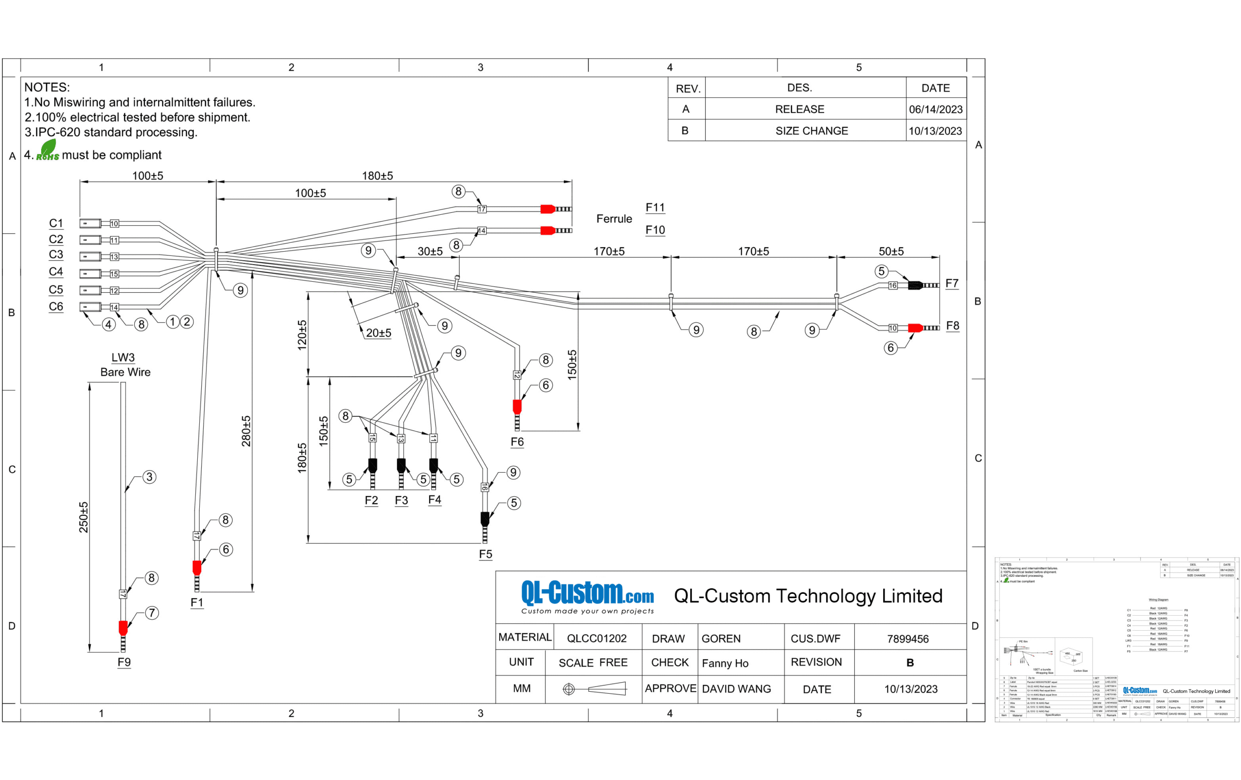 Custom Wiring Harness