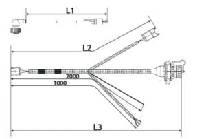 Automotive Wire Harnesses