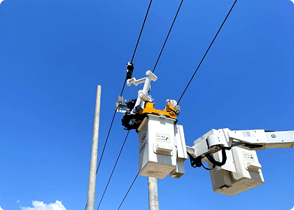 Renewable Energy & Electric Power