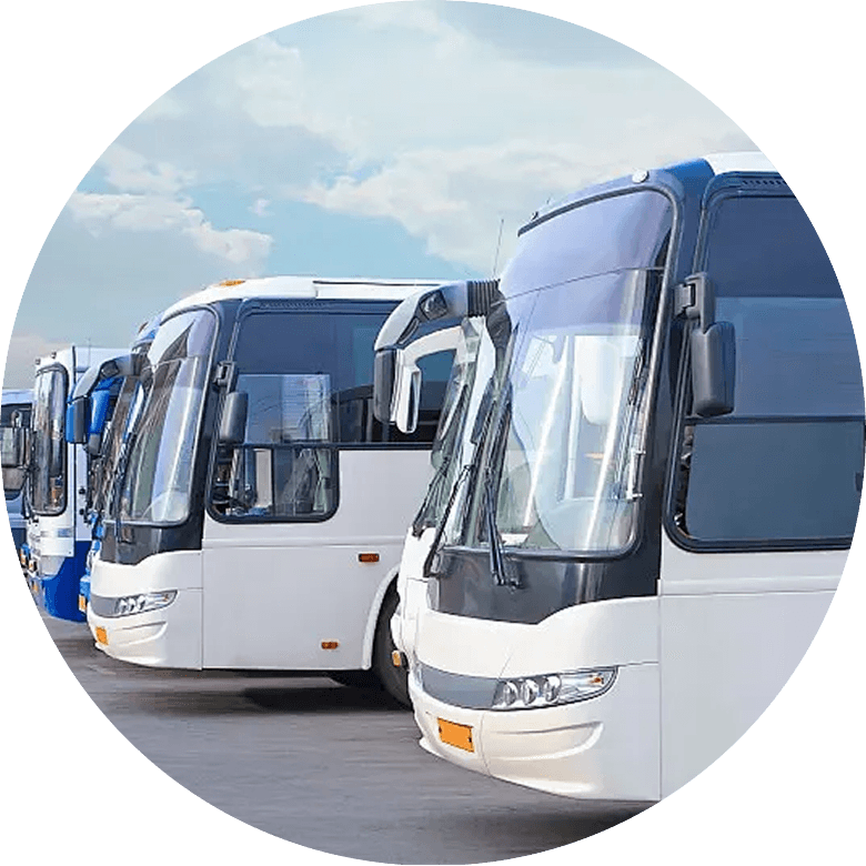 Infrastructure & Renewable Energy