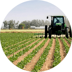 Agriculture & Rural