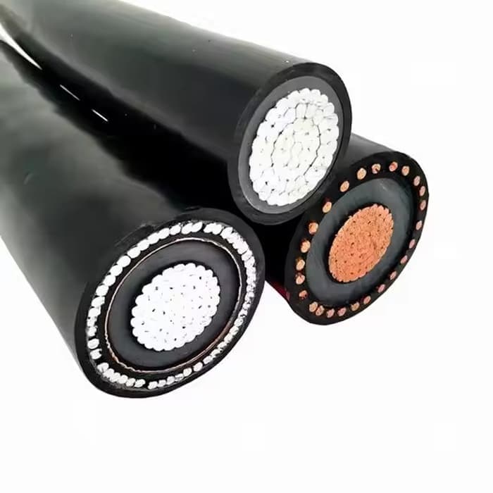 Hollow or Foamed Cores