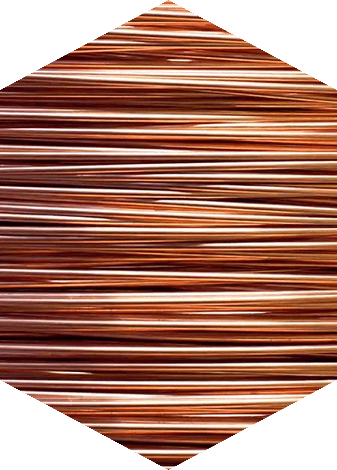 Copper Alloy / Phosphor Bronze