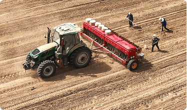 Agriculture