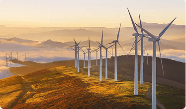 Renewable Energy